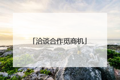 洽谈合作觅商机