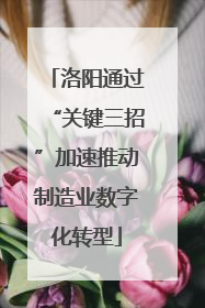 洛阳通过“关键三招”加速推动制造业数字化转型