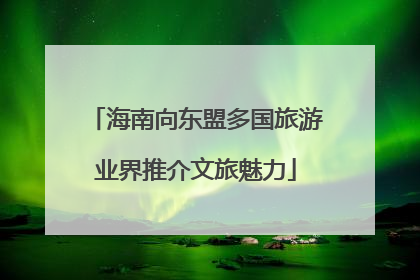 海南向东盟多国旅游业界推介文旅魅力