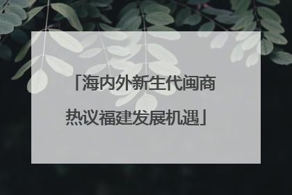 海内外新生代闽商热议福建发展机遇