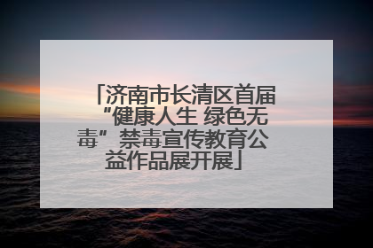 济南市长清区首届“健康人生 绿色无毒”禁毒宣传教育公益作品展开展