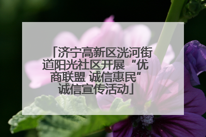 济宁高新区洸河街道阳光社区开展“优商联盟 诚信惠民”诚信宣传活动