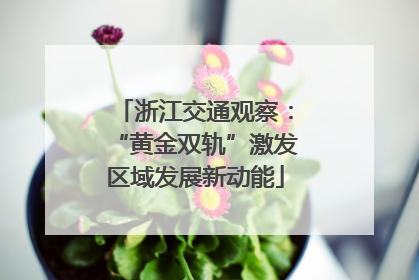 浙江交通观察：“黄金双轨”激发区域发展新动能