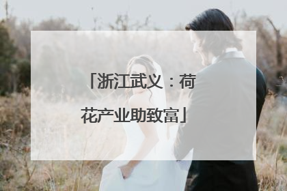 浙江武义：荷花产业助致富