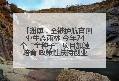 淄博：全链护航育创业生态雨林 今年74个“金种子”项目加速培育 政策性扶持创业9754人