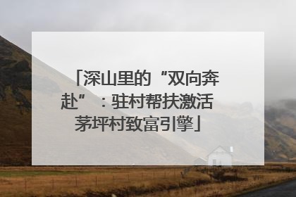 深山里的“双向奔赴”：驻村帮扶激活茅坪村致富引擎