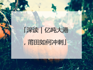 深读｜亿吨大港，莆田如何冲刺