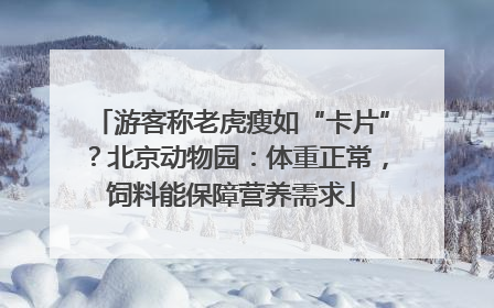 游客称老虎瘦如“卡片”？北京动物园：体重正常，饲料能保障营养需求