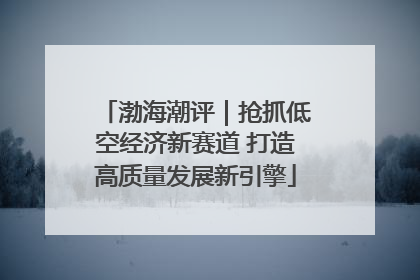 渤海潮评｜抢抓低空经济新赛道 打造高质量发展新引擎
