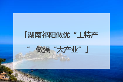 湖南祁阳做优“土特产” 做强“大产业”
