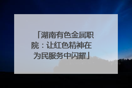 湖南有色金属职院：让红色精神在为民服务中闪耀