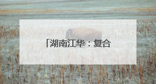 湖南江华：复合种植结硕果 龙头兜底助增收
