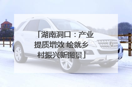 湖南洞口：产业提质增效 绘就乡村振兴新图景