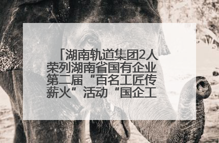 湖南轨道集团2人荣列湖南省国有企业第二届“百名工匠传薪火”活动“国企工匠”人才宣传名单
