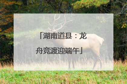 湖南道县：龙舟竞渡迎端午