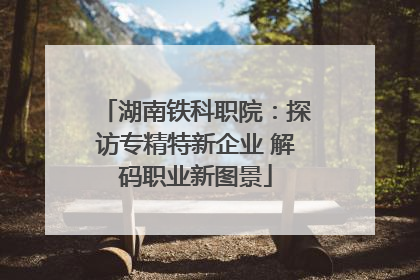 湖南铁科职院：探访专精特新企业 解码职业新图景