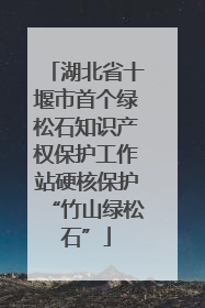 湖北省十堰市首个绿松石知识产权保护工作站硬核保护“竹山绿松石”
