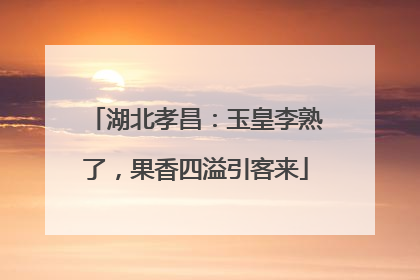 湖北孝昌：玉皇李熟了，果香四溢引客来