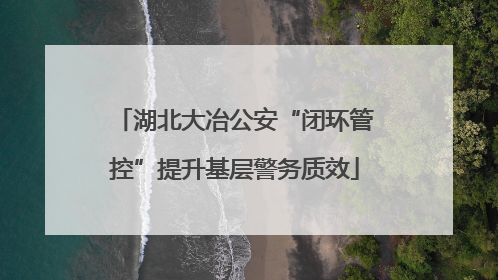 湖北大冶公安“闭环管控”提升基层警务质效