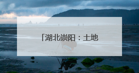 湖北崇阳：土地“破局”绘新卷 山乡巨变绽芳华