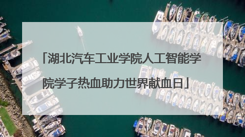 湖北汽车工业学院人工智能学院学子热血助力世界献血日