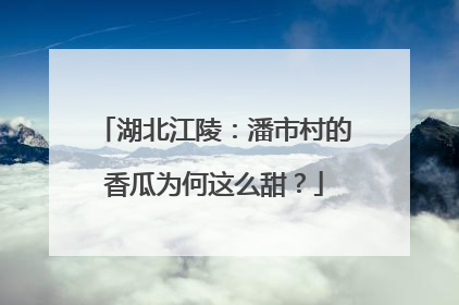 湖北江陵：潘市村的香瓜为何这么甜？