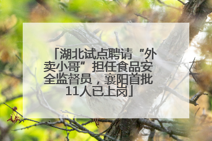湖北试点聘请“外卖小哥”担任食品安全监督员，襄阳首批11人已上岗