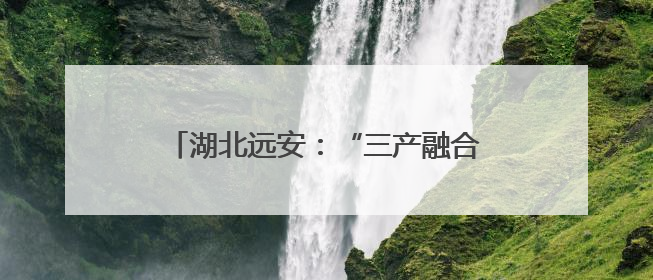湖北远安：“三产融合”激活乡村振兴新动能