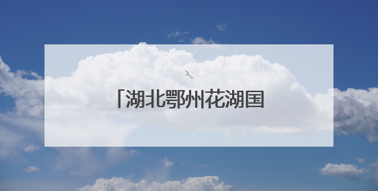 湖北鄂州花湖国际机场开通4条“荔枝航线”