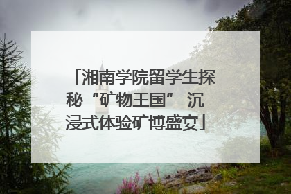 湘南学院留学生探秘“矿物王国” 沉浸式体验矿博盛宴