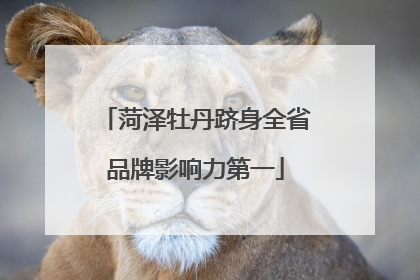 菏泽牡丹跻身全省品牌影响力第一