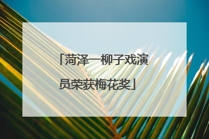 菏泽一柳子戏演员荣获梅花奖