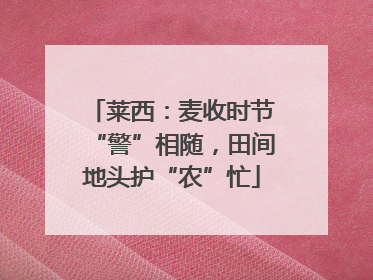 莱西：麦收时节“警”相随，田间地头护“农”忙