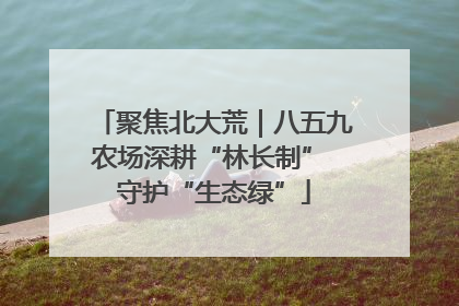 聚焦北大荒｜八五九农场深耕“林长制” 守护“生态绿”