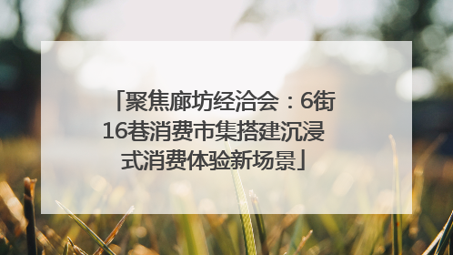 聚焦廊坊经洽会：6街16巷消费市集搭建沉浸式消费体验新场景