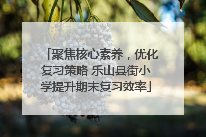 聚焦核心素养，优化复习策略 乐山县街小学提升期末复习效率