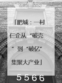 肥城：一村仨企从“破壳”到“破亿”集聚大产业