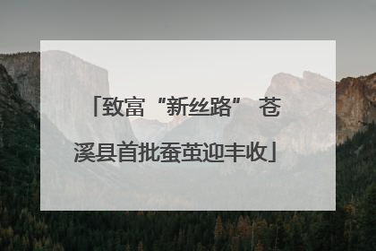 致富“新丝路” 苍溪县首批蚕茧迎丰收