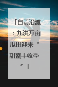 自贡沿滩：九洪万亩瓜田迎来“甜蜜丰收季”