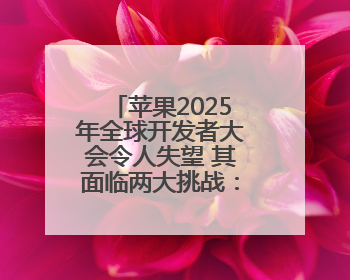 苹果2025年全球开发者大会令人失望 其面临两大挑战：AI和特朗普