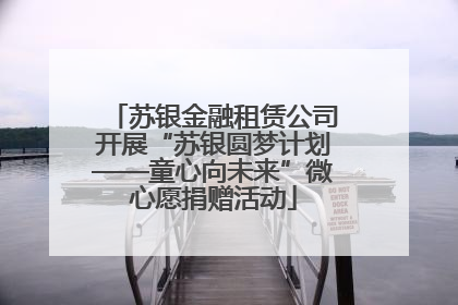 苏银金融租赁公司开展“苏银圆梦计划——童心向未来”微心愿捐赠活动