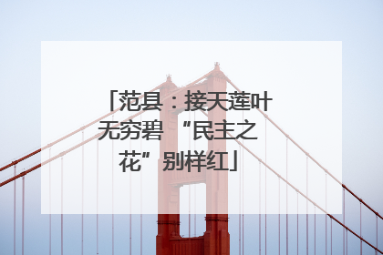 范县：接天莲叶无穷碧 “民主之花”别样红