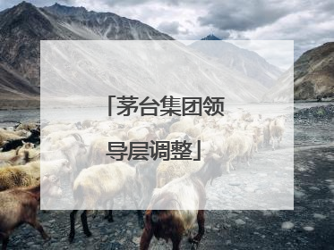 茅台集团领导层调整