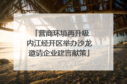 营商环境再升级 内江经开区举办沙龙邀请企业建言献策