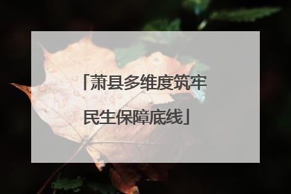 萧县多维度筑牢民生保障底线