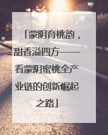 蒙阴育桃韵，甜香溢四方——看蒙阴蜜桃全产业链的创新崛起之路