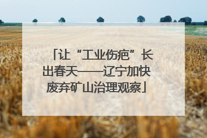 让“工业伤疤”长出春天——辽宁加快废弃矿山治理观察