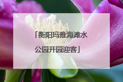衡阳玛雅海滩水公园开园迎客