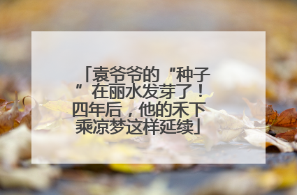 袁爷爷的“种子”在丽水发芽了！四年后，他的禾下乘凉梦这样延续