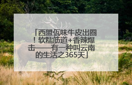 西盟佤味牛皮出圈！软糯筋道+香辣爆击——有一种叫云南的生活之365天